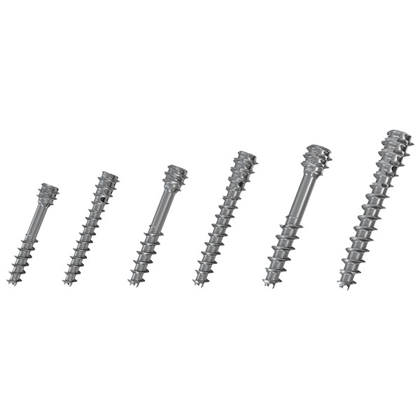 Athrodax 0003 Ibs Vis Gammes